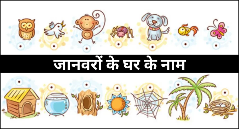Animals and Their Homes in Hindi