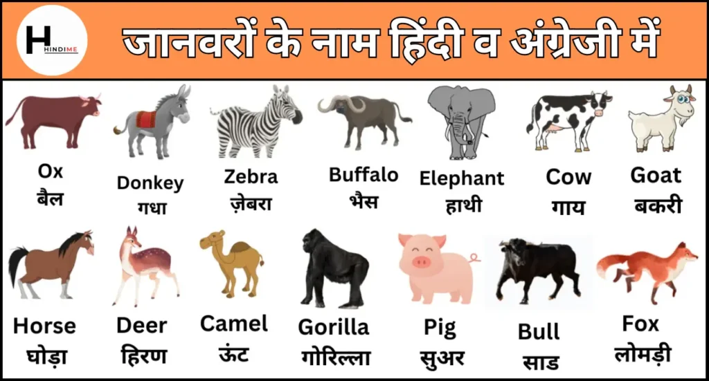 Animals Name in Hindi and English