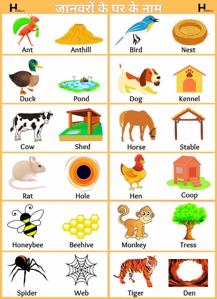 Animals Home Name Chart in Hindi