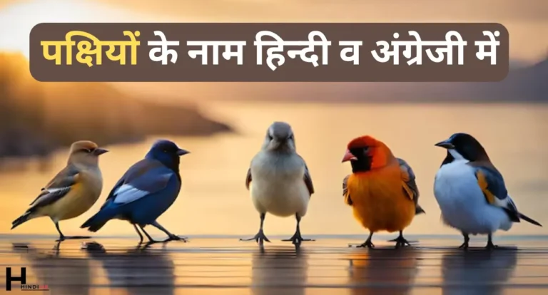 Birds Name in Hindi