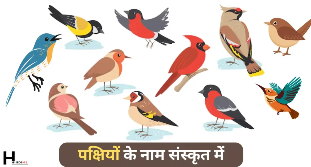 Birds Name in Sanskrit