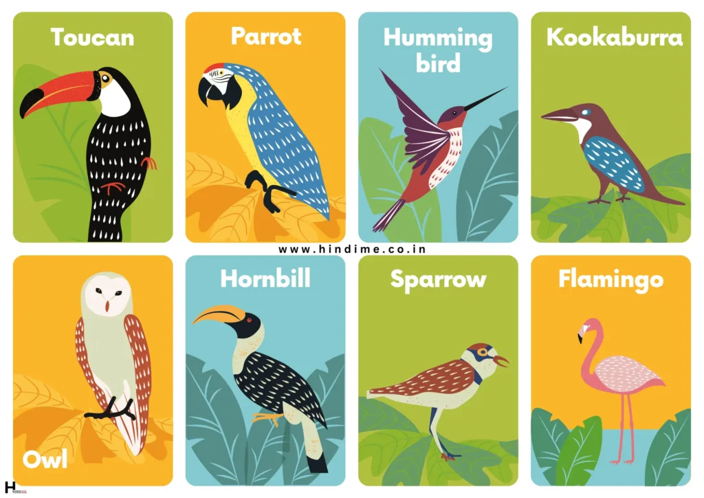 Birds Name Chart in Sanskrit 