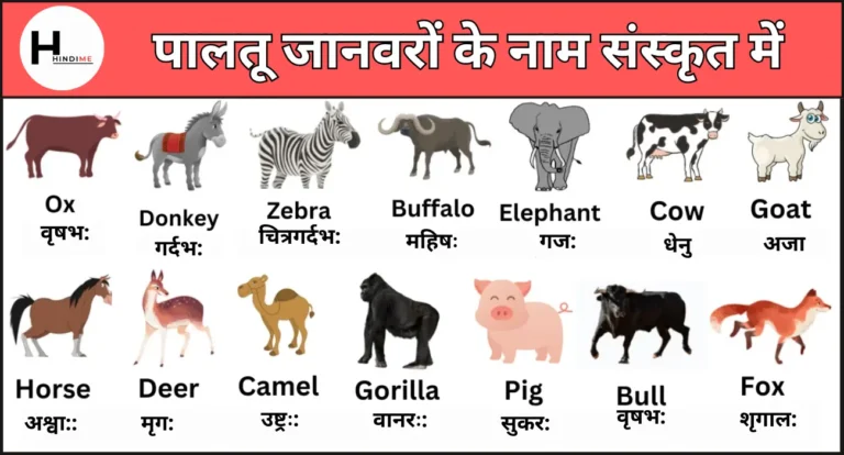 Pet Animals Name in Sanskrit