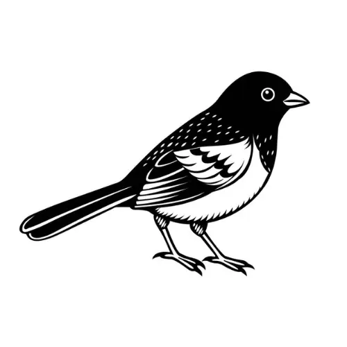 Birds Name in Hindi