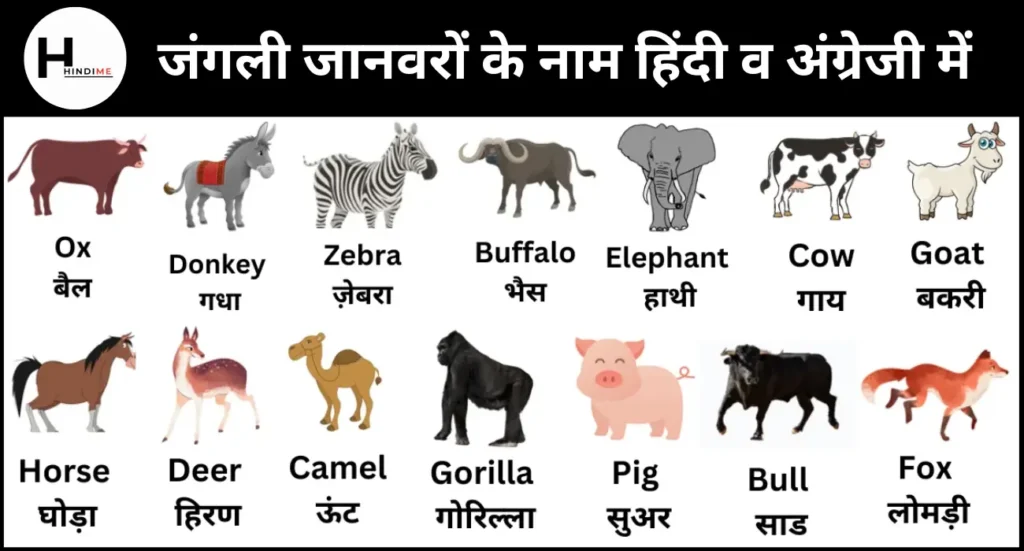 Wild Animals Name in Hindi