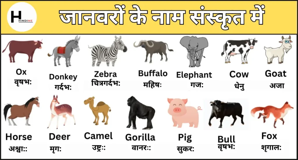 Wild Animals Name in Sanskrit 