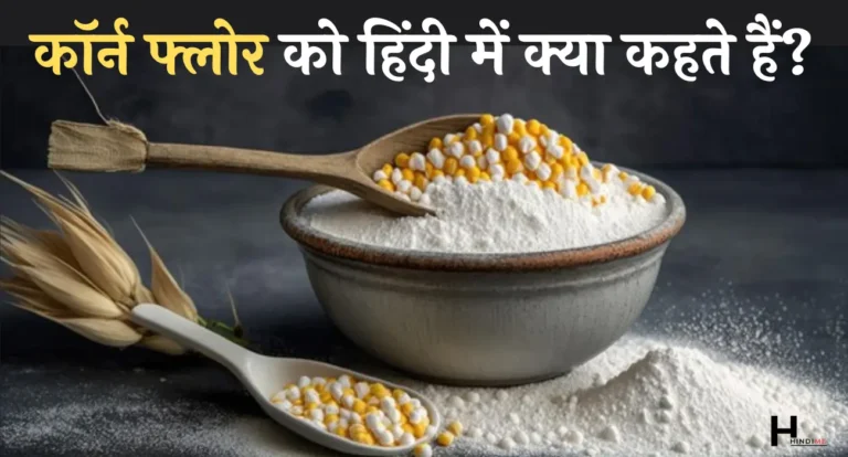 Corn Flour Ko Hindi Mein Kya Kahate Hain