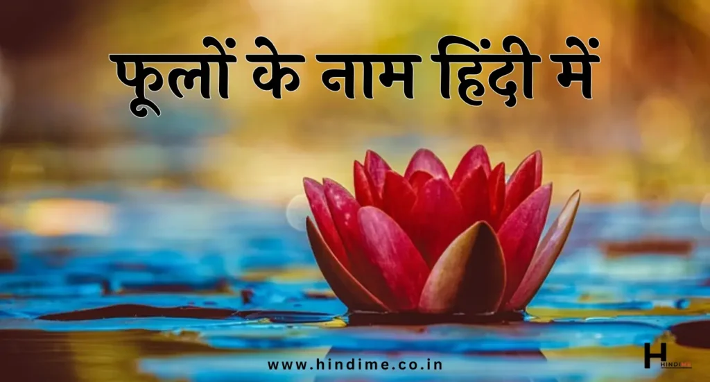 Flowers Name in Hindi