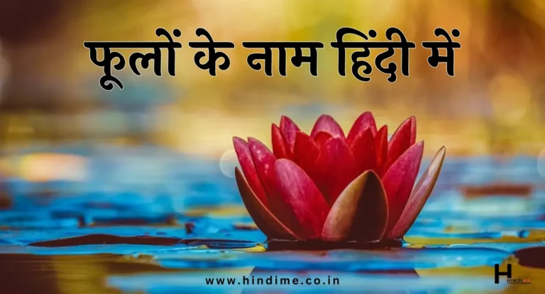 Flowers Name in Hindi and English