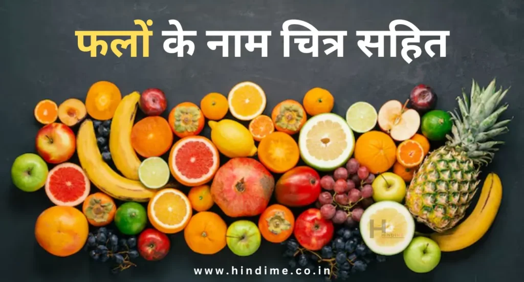 Fruits Name in Hindi